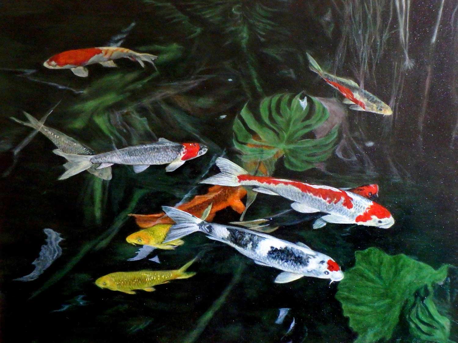 Koi’s III