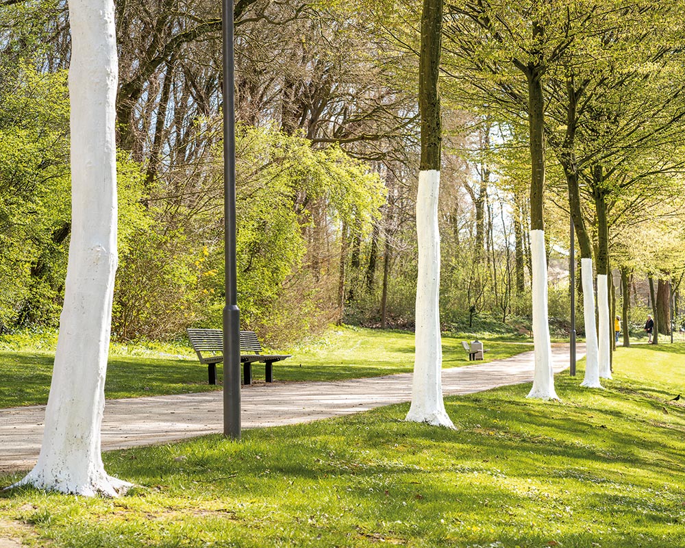 KUNST für VIER