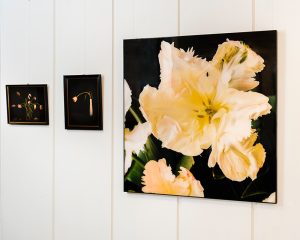 Fotografien von Brigitte Rühland in der Galerie im Kreishaus Warendorf